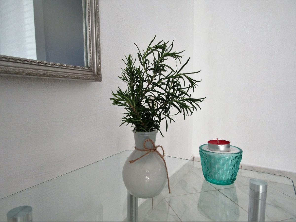 Apartments Kokor ヴォディツェ エクステリア 写真